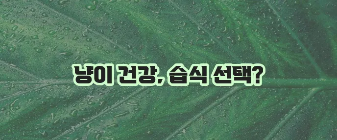 사랑하는 고양이 건강을 위한 최고의 습식사료 추천, 놓치지 마세요!