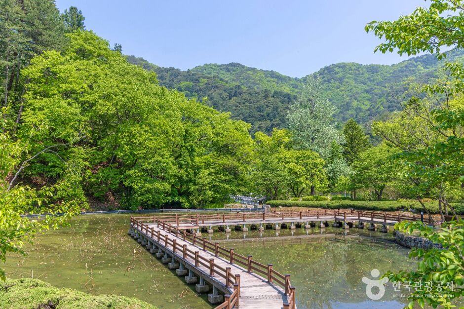 홍천 가볼만한곳 베스트 10