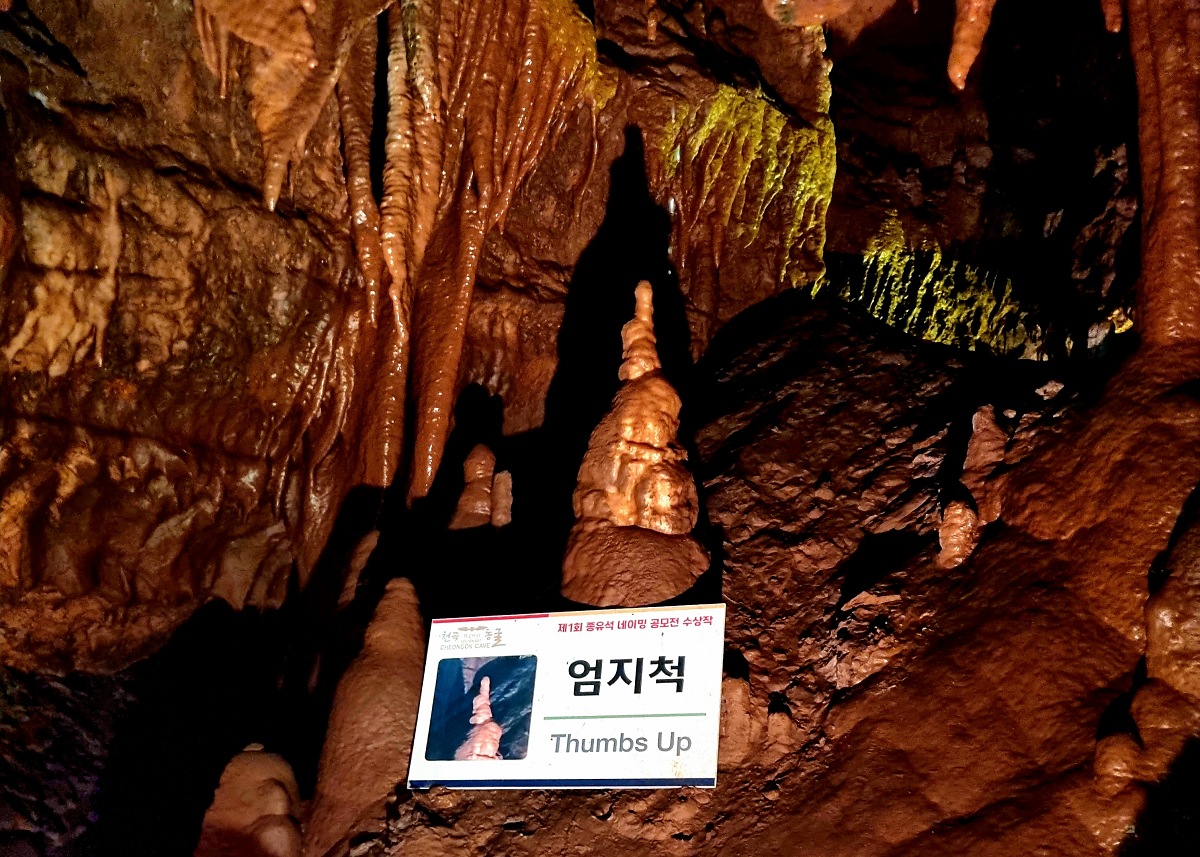 동해 가볼만한곳 천곡황금박쥐동굴 후기 비 오는 날 좋은 실내 여행지