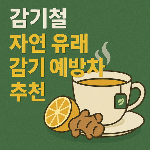 감기 예방 차/GPT