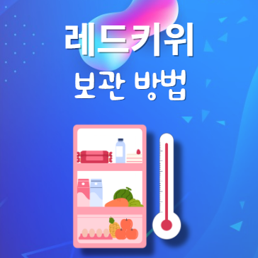 레드키위 보관법