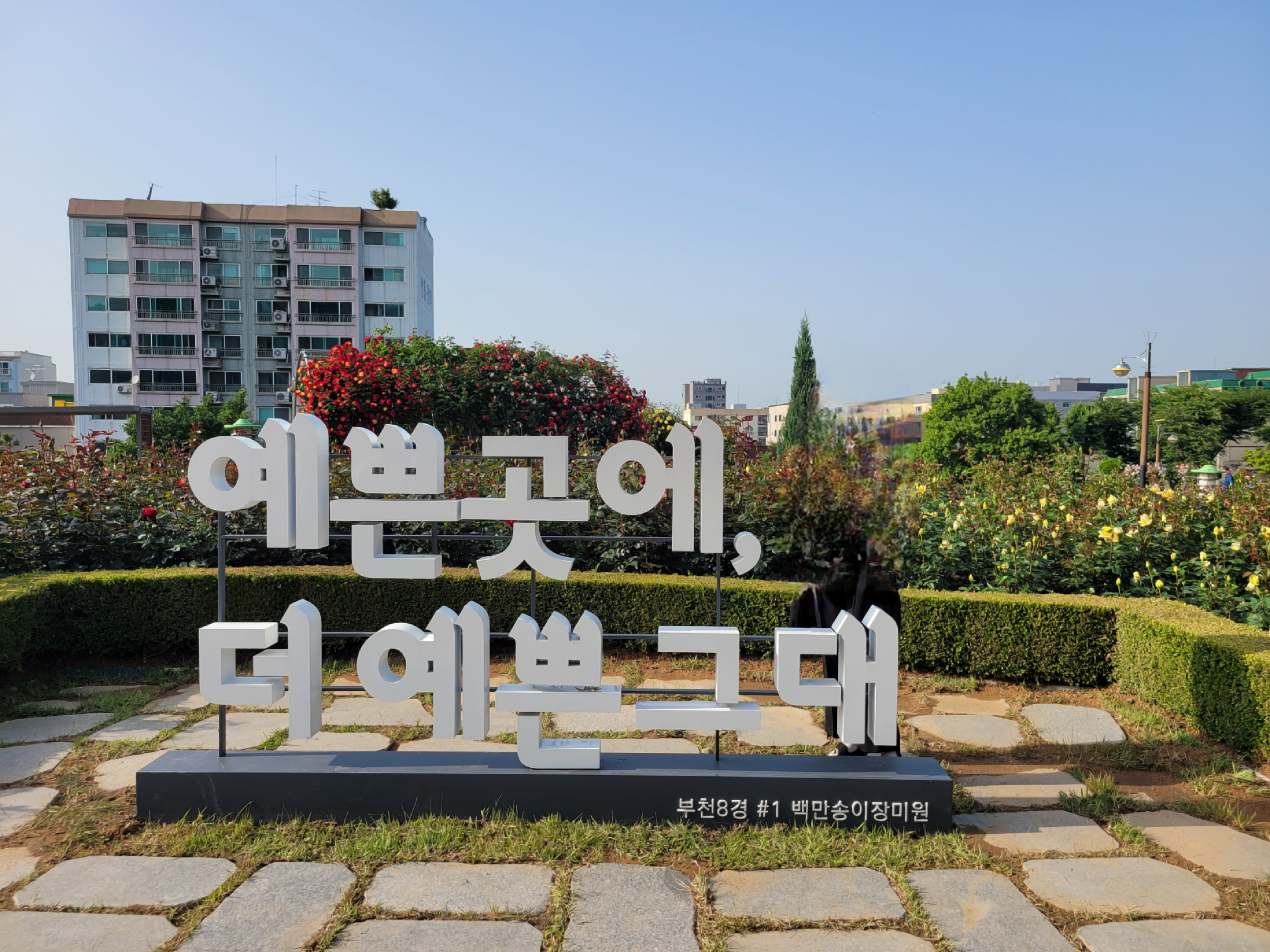 백만송이장미축제 포토존