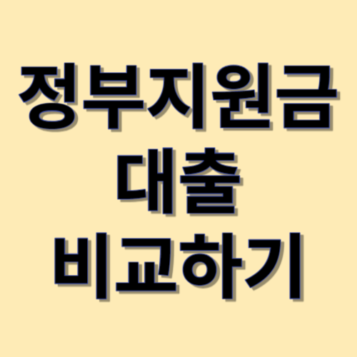 정부지원금대출