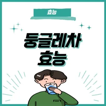 둥글레차 효과 건강에 좋은 차 효능 정리_15