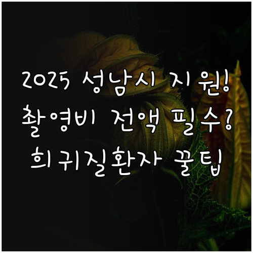 성남시 중증 희귀질환자 2025 특수..