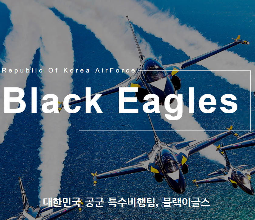 블랙이글스