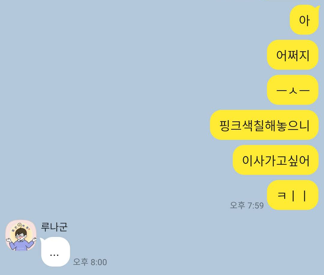 핑크색으로 칠하고 이사가고싶다고 말하는 루나군과 미루의 카톡창 이미지