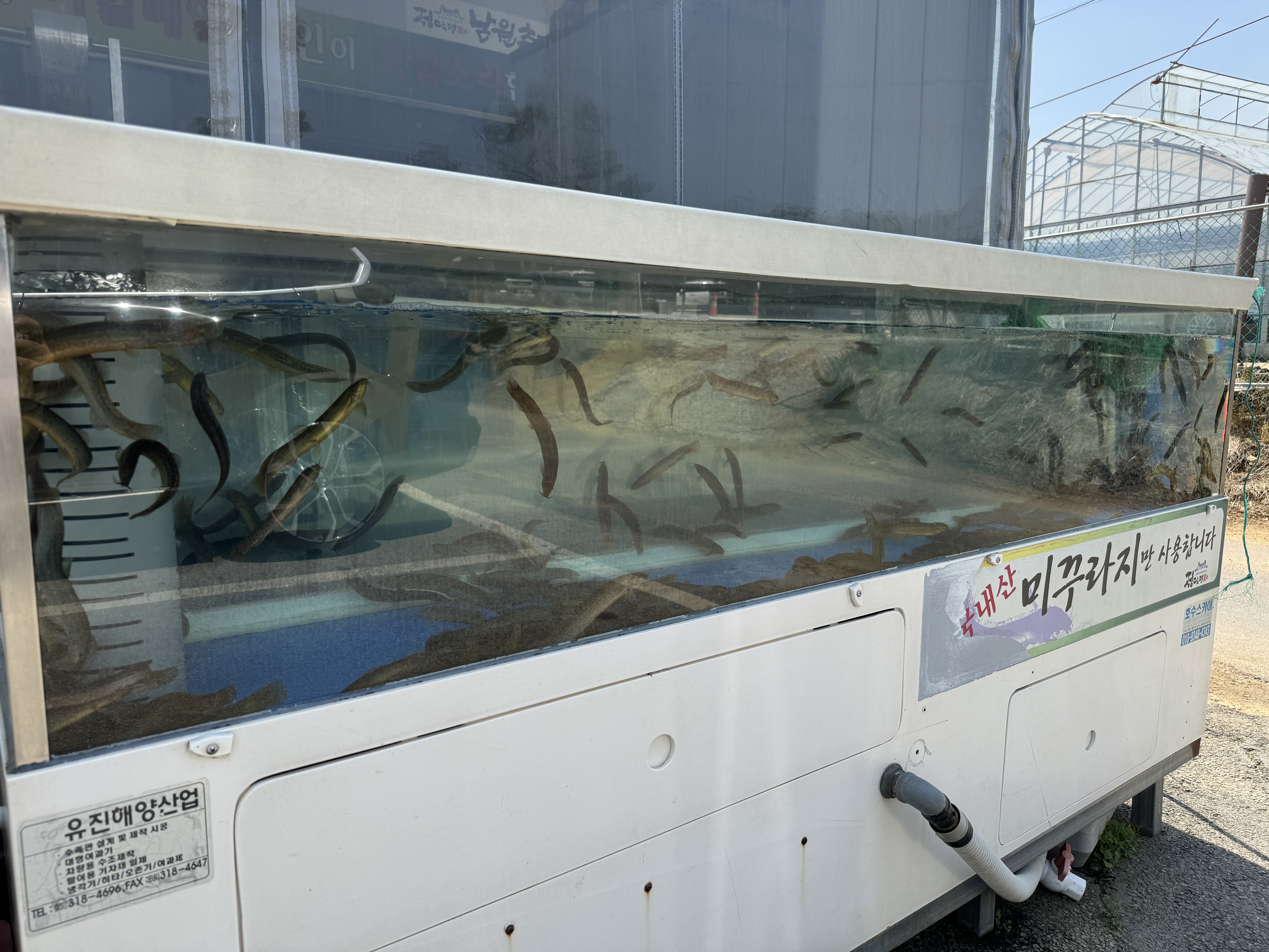 정담명가-미꾸라지수조