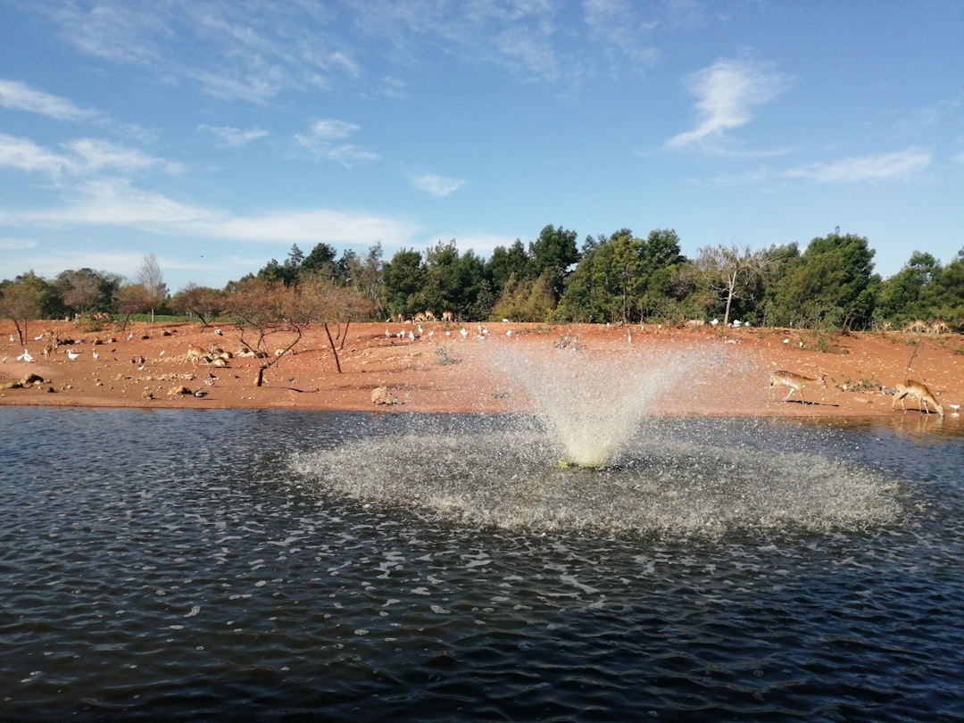 Waterbomb