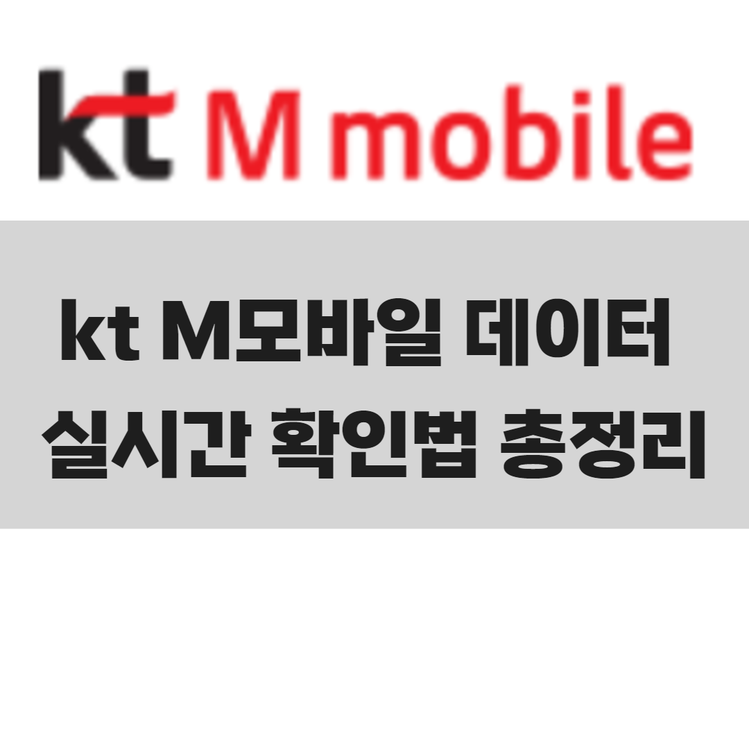 데이터 어디 갔지? kt M모바일에서 사용량 실시간 확인하는 법!