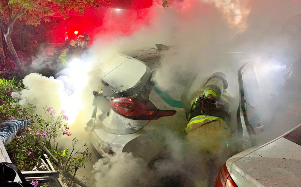 본리동 전기차 화재, 대구소방