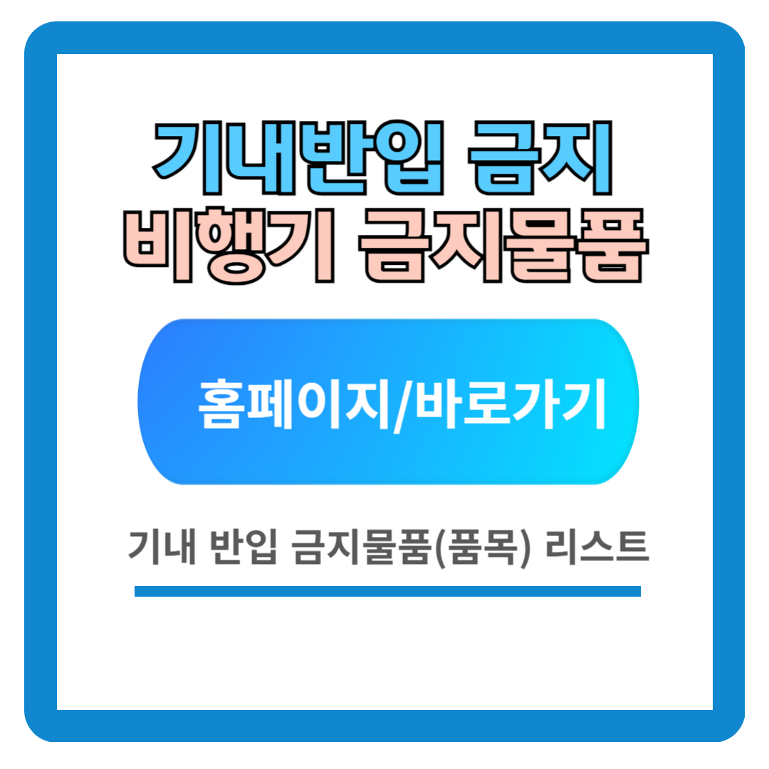 기내 반입 금지 물품 (품목) : 비행기 반입 금지 물품
