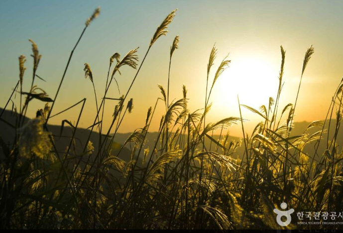 간월재 정보 안내
