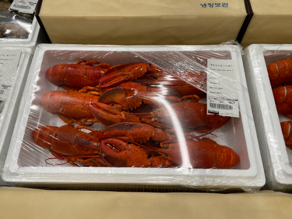 2024 코스트코 추석 신선식품 선물세트