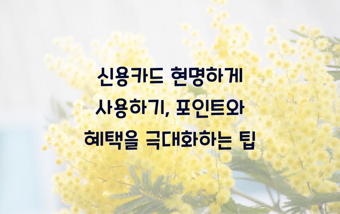 신용카드 현명하게 사용하기, 포인트와 혜택 극대화 전략