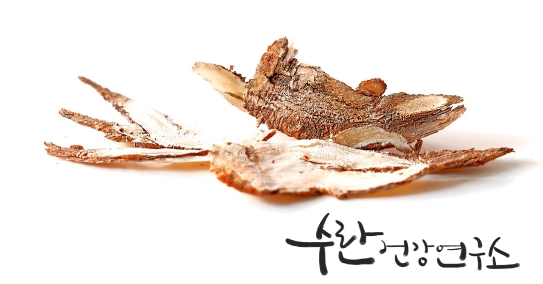 경옥고 효능 가격 광동경옥고