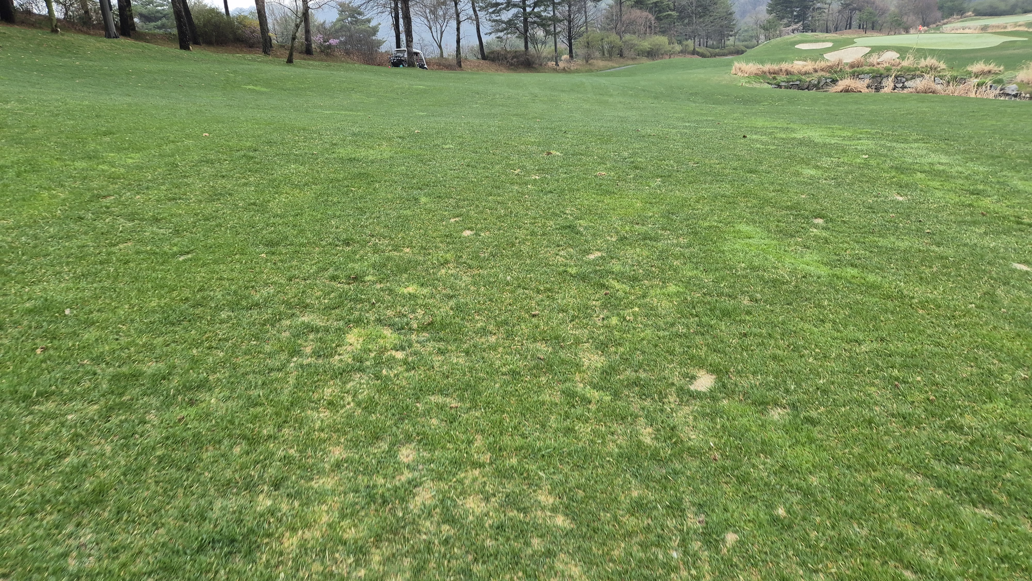 레인보우힐스cc 동-남 코스 난이도