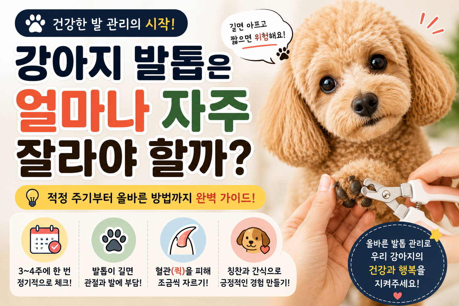 강아지 발톱은 얼마나 자주 잘라야 할까?|건강한 발 관리를 위한 올바른 발톱 관리법