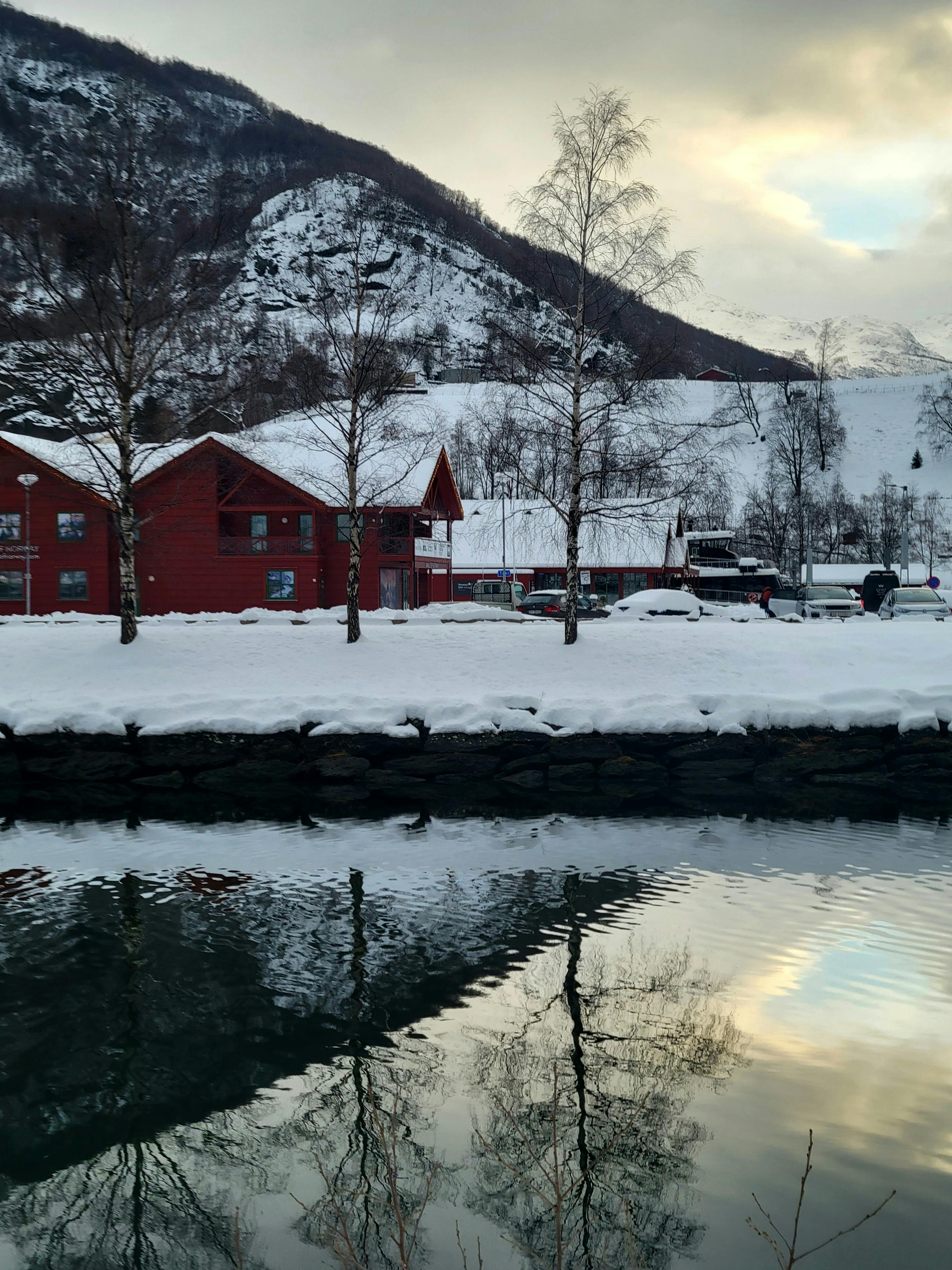 겨울철 면역력 관리