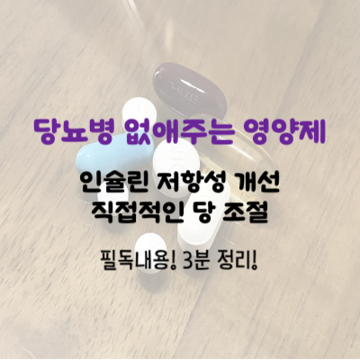 당뇨에 좋은 영양제