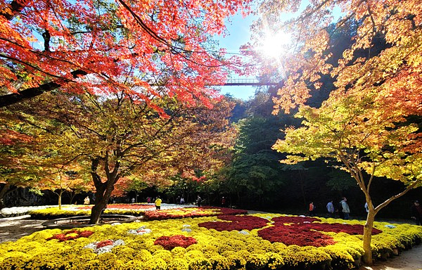 강천산 군립공원의 맨발걷기