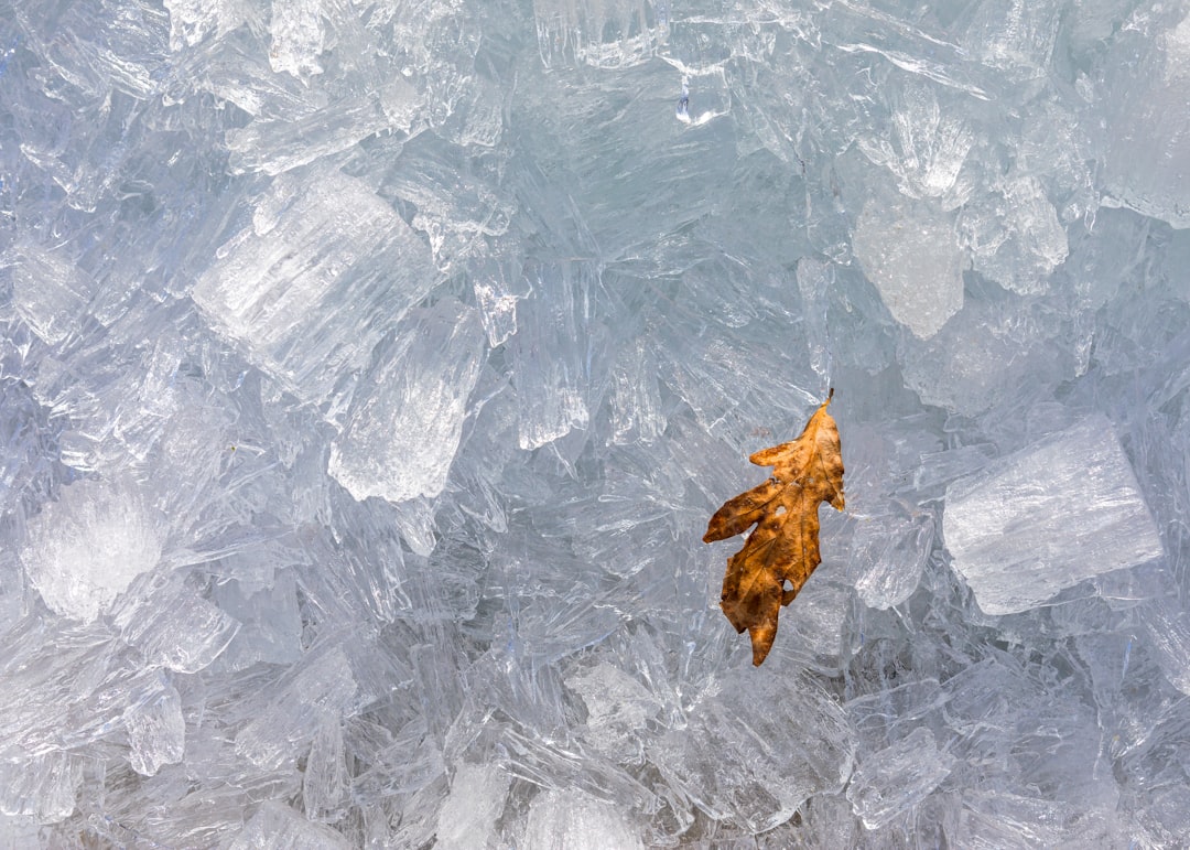 Ice tray