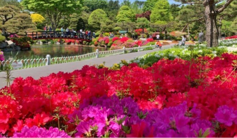 세종-베어트리파크