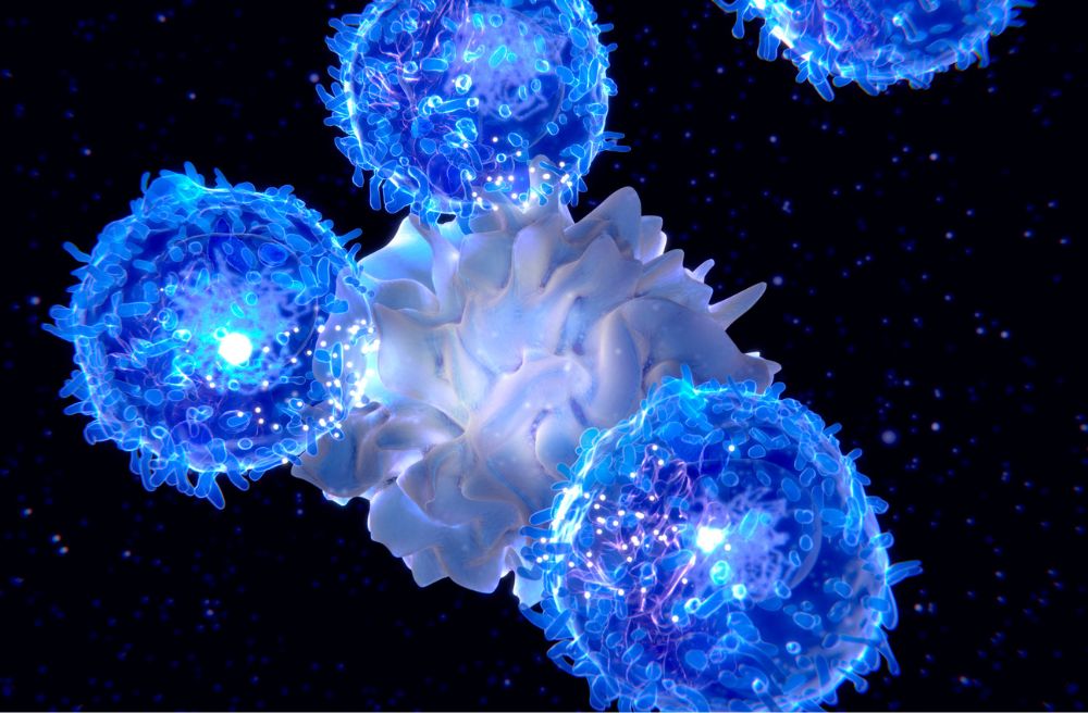 활성산소와 면역세포