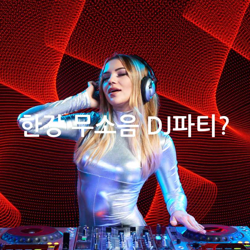 한강 무소음 DJ파티