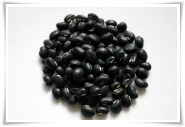 텃밭 "5월, 동부콩 심으세요!" 텃밭의 숨은 보석 알고보면 매력 덩어리!