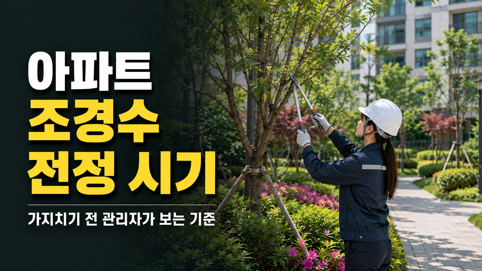 아파트 조경수 전정 시기, 가지치기 전 관리자가 판단해야 할 기준