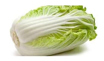 절임배추 사전예약