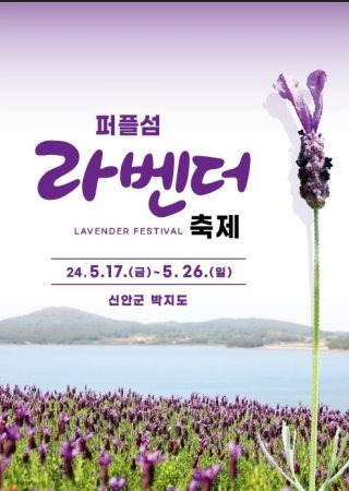 💜 보라빛 물결~ 