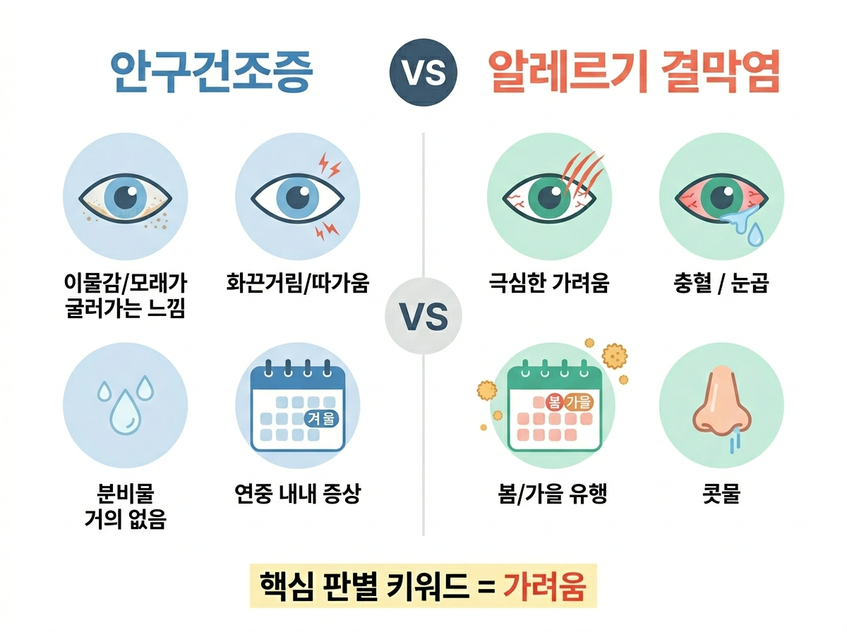 알레르기 결막염 안구건조증 차이, 눈 가려움 판별, 봄철 눈 충혈 원인 구별