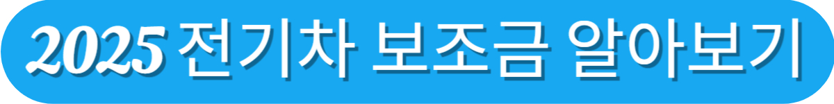 2025 전기차 보조금