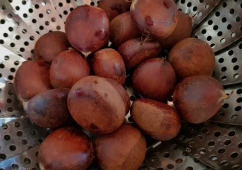 밤먹는법