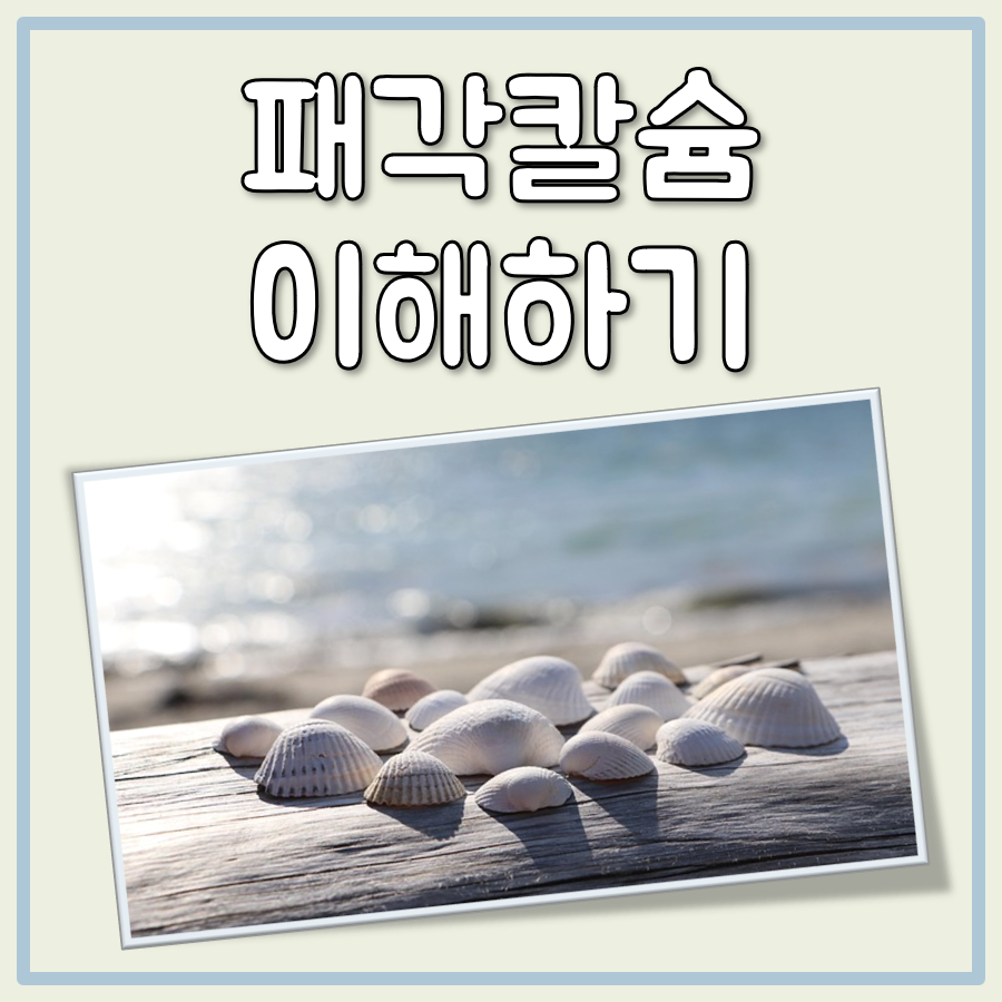 패각칼슘 이해하기