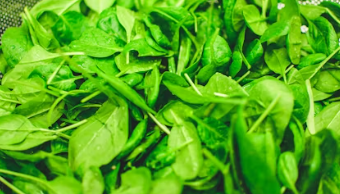 아미노산이 풍부한 식품 : 시금치