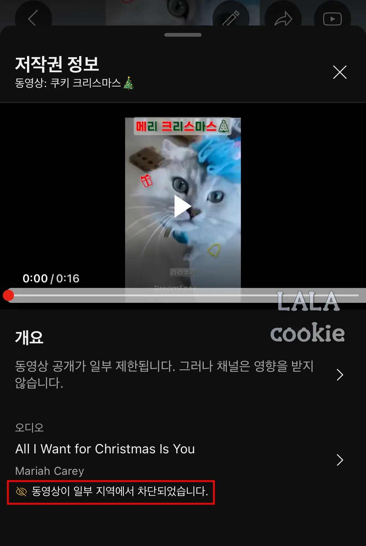 유튜브-저작권-영상-차단-모습