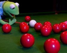 사카이 아야코 당구선수 프로필 나이 국적 남편