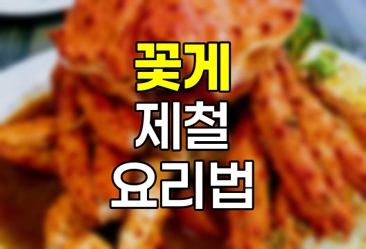 꽃게 철 완벽 가이드, 제철, 고르는 법, 찌는 시간, 암수 구별, 금어기 관련 정보