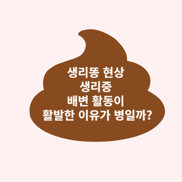 생리똥현상