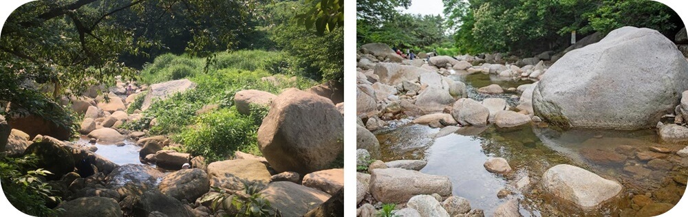 부산-북구-대천천-계곡-숲-맑은-물-흐름