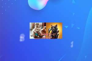 내 MBTI와 맞는 고양이는?