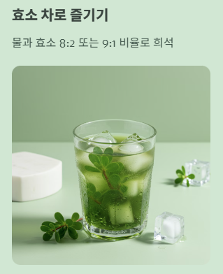 쇠비름 효소 먹는 방법 : 효소 차