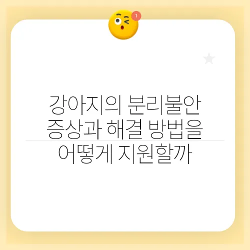 강아지의 분리불안 증상과 해결 방법을 어떻게 지원할까