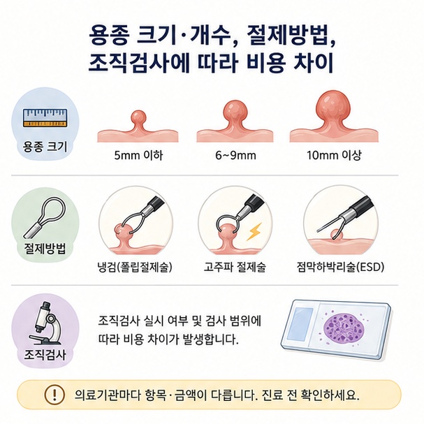 대장 용종의 크기와 개수, 폴립절제술과 점막절제술 등 제거방법에 따라 비용이 달라지는 것을 설명한 이미지