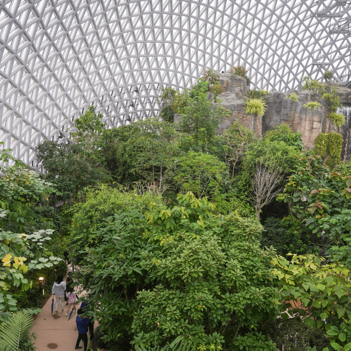 위에서-내려다본-정글돔