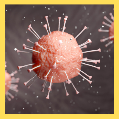 사람메타뉴모바이러스증상치료제