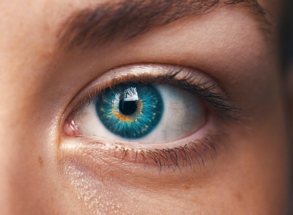 오메가 3 효능 : 눈